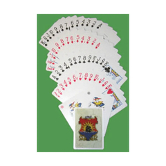 Settlers of Catan Logo Poker Deck
