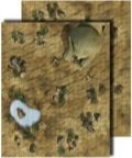 Pathfinder Flip-Mat Classic: Desert