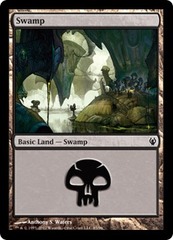 Swamp (85)