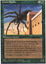 Giant Spider