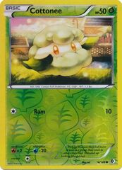 Cottonee - 14/149 - Common - Reverse Holofoil