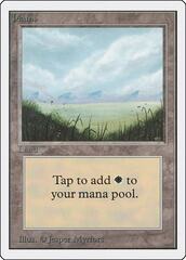 Plains (No Trees)