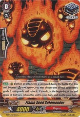 Flame Seed Salamander - BT04/074EN - C