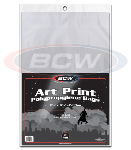Art Print 11x17 Bag