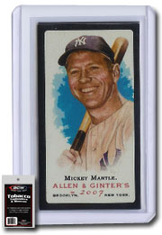 Tobacco Toploaders & Sleeves (10/PK)