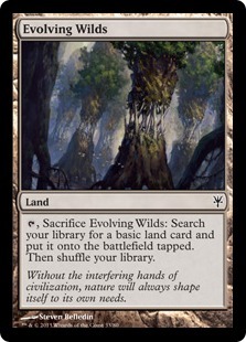 Evolving Wilds