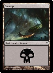 Swamp (36)