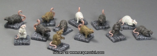 Rats (6)