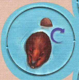 Whitewater: Cranky Beavers