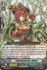Tulip Musketeer, Almira - BT08/062EN - C