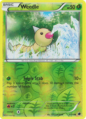 Weedle - 1/116 - Common - Reverse Holo