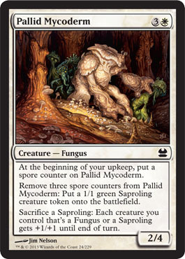 Pallid Mycoderm