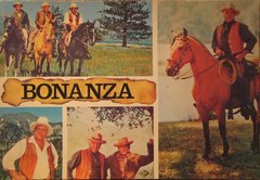 Bonanza (1964)