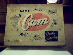 Cam