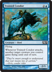 Trained Condor - Foil