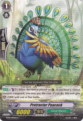 Protractor Peacock - BT09/090EN - C