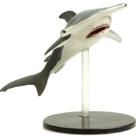 Hammerhead Shark