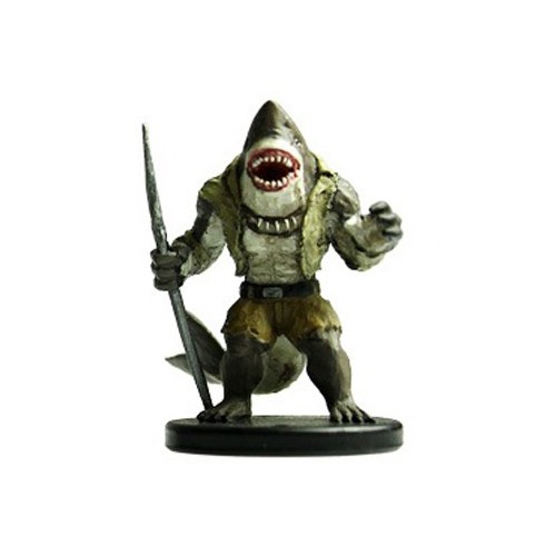 Wereshark Pirate