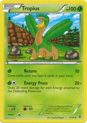 Tropius - 5/101 - Uncommon