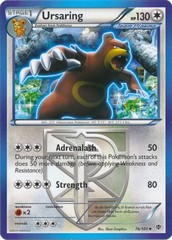 Ursaring - 76/101 - Uncommon