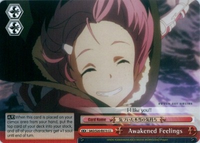 Awakened Feelings - SAO/S20-E075 - CC