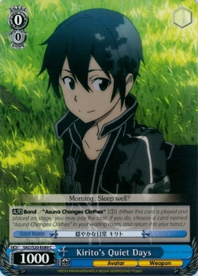 Kiritos Quiet Days - SAO/S20-E089 - C