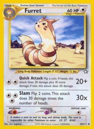 Furret_-_35_111
