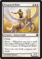 Wingsteed Rider - Foil