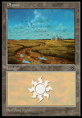 Plains (Road and birds)