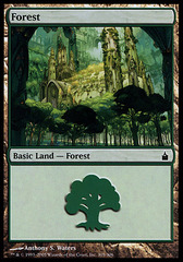 Forest (305) - Foil