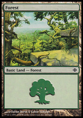 Forest (247) - Foil