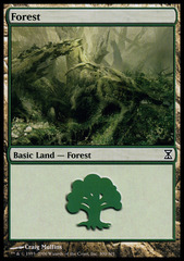 Forest (300)