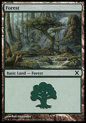 Forest (382) - Foil