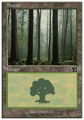 Forest (350)