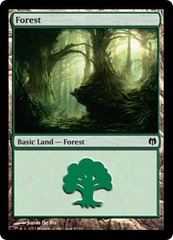 Forest (80)