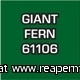 Giant Fern