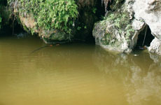 Water Effects - Still Water 200ml VAL26230