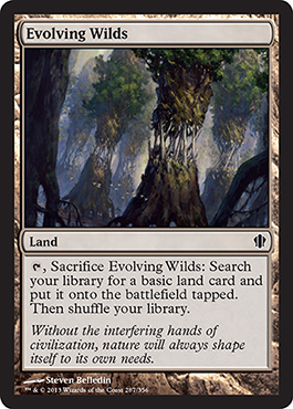 Evolving Wilds