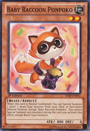 Baby Raccoon Ponpoko - SHSP-EN014 - Common - 1st Edition