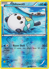 Oshawott - 37/113 - Common - Reverse Holo