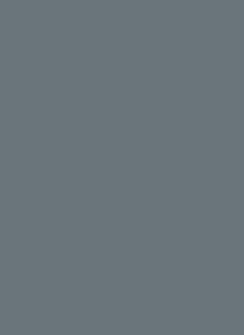 Silver Matte Sleeves (50)