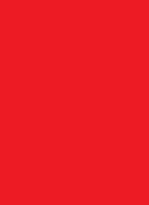 Red Matte Sleeves (50)