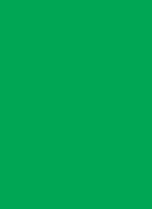 Green Matte Sleeves (50)