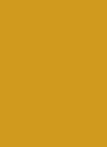 Gold Matte Sleeves (50)