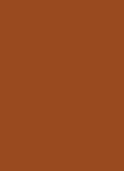 Legion Sleeves - Brown (50 ct.)