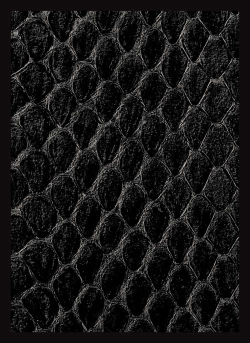 Dragon Hide Art Sleeves Black (50)