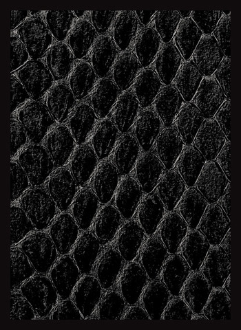 Dragon Hide Art Sleeves Black (50)