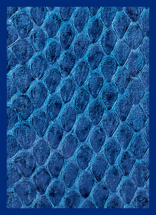 Dragon Hide Art Sleeves Blue (50)