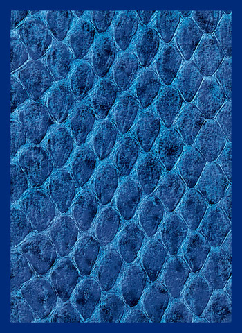 Dragon Hide Art Sleeves Blue (50)