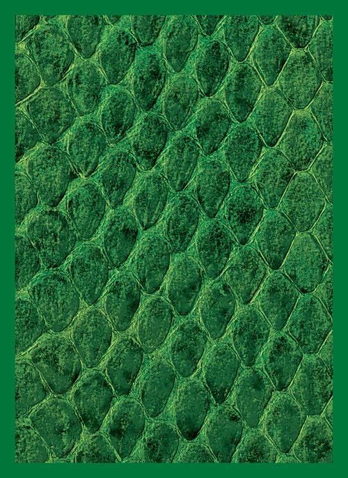 Dragon Hide Art Sleeves Green (50)